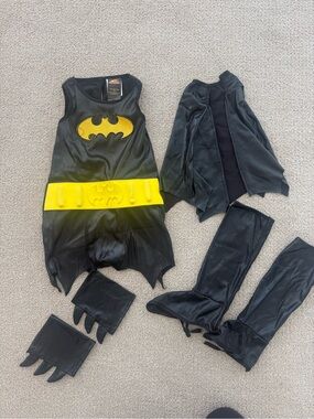 Batgirl Costume Official Licensed
